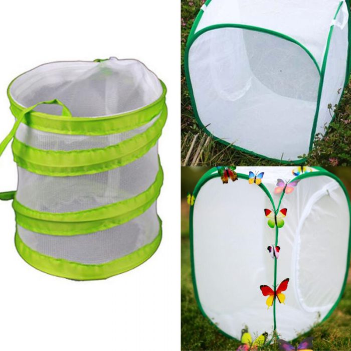 praying mantis cage enclosure